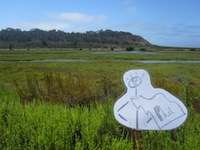 CA